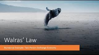 Walras' Law: Numerical Example for Pure Exchange Economy