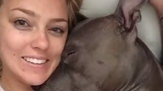 Dogs Give The Best Cuddles And This Proves It! | Dog Compilation