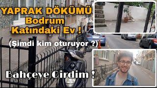 YAPRAK DÖKÜMÜ BODRUM KATINDAKİ EV ! NEREDE ? OTURAN KİŞİYLE KONUŞTUM!