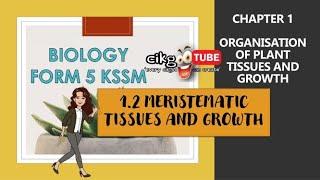 BIOLOGY KSSM FORM 5 : 1.2 MERISTEMATIC TISSUES AND GROWTH