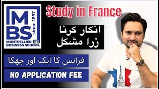 .Apply Now! Montpellier Business School, France - No Application Fee Required" | Studify Consultants