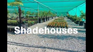 Shadehouse by Redpath. Small or Commercial