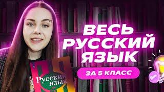 ВЕСЬ русский язык за 5 класс | Пройди всё ЗА 20 МИНУТ