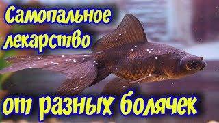 Самодельное лекарство для лечения аквариумных рыбок от многих болезней и паразитов!