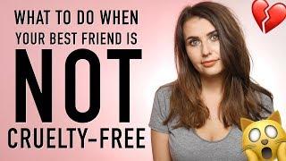 What to do when your best friend is NOT cruelty-free - Chatty GRWM - Logical Harmony