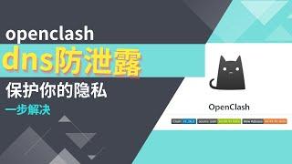 软路由openclash dns防泄漏，clash dns防泄露，一步搞定，加快网页响应速度，降低延迟，多分流规则