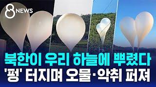 북한이 우리 하늘에 뿌렸다…'펑' 터지며 오물·악취 퍼져 / SBS 8뉴스