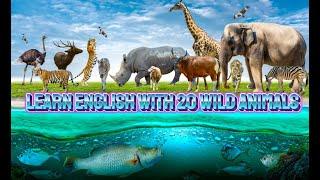 Learn Wild Animal Names for Kids  | 20 Wild Animals in  English Vocabulary Simple Songs