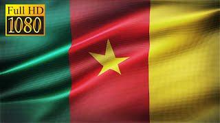 Animation réaliste du drapeau Camerounais en boucle : séquence vidéo gratuite