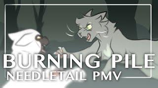 Burning Pile - Needletail PMV / Animatic
