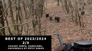 BEST OF 2023/2024 - CHASSE AUX CERFS, SANGLIERS, CHEVREUILS ET PETIT GIBIER - 2/3