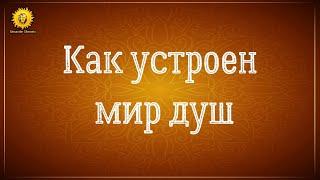 Как устроен мир душ?  Жизнь между жизнями.