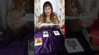 Tabula Mundi Tarot 2 de 2 videos Elizabeth Zadquiel