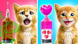 Pamper Your Purr: Exclusive Tips for Cat Owners 