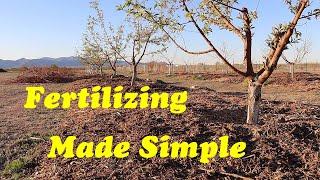 Fertilizing Fruit Trees | The What, When & How of Fertilizing