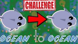 NEW ULTIMATE SHARK CHALLENGE // Mope.io