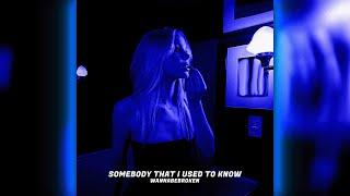 Somebody That I Used To Know (PET3RPUNX, LUCKY DEMON, Mr Demon Techno Remix)