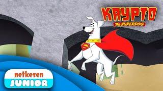 SÜPER KÖPEK KRYPTO | Süper Tırtıl | (1/2) | netkesenJR