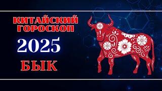 БЫК - Китайский гороскоп на 2025 год.  Год Змеи 2025