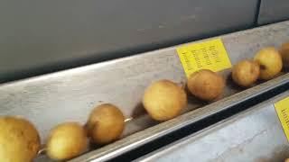 NEWTEC Celox on Mini Potatoes