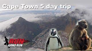 Cape Town Sights 5 day trip