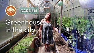 Simple yet effective greenhouse growing techniques for your urban property