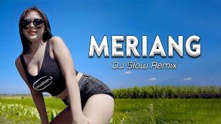 Meriang Remix -  DJ Goyang Goyang | DJ Slow Remix | Nia Ramadhani