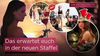 ACHTUNG, ACHTUNG  Die ROSENREISE beginnt & das erwartet euch  | Die Bachelorette