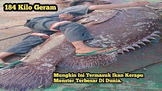 #VIRAL||MANCING DI MUARA DAPAT IKAN KERAPU BERAT 184 Kilo.