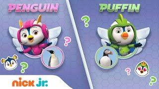 Play a Top Wing Trivia Game  Penguin or Puffin w/ Penny & Brody | Nick Jr. Games | Nick Jr.