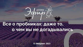 Бизнес-Вебинар doTERRA 15 Февраля 2023 "О ПРОБНИКАХ с Ольгой Годдард"