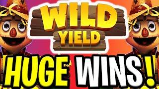 EPIC WILD YIELD SLOT  €10.000 BONUS SPINS‼️ *** BIG WINS ***