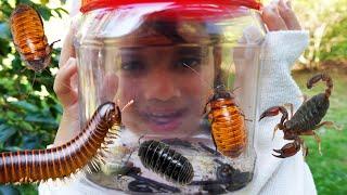 BUG HUNT for REAL BUGS! Millipedes, Bull Ants, Scorpions, Worms With Zoe and Daddy!