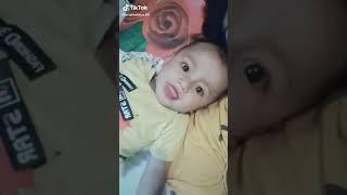 KUDA PONI TIKTOK VIRAL TERBARU