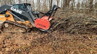 Forestry Mulching with the Case DL550 Minotaur, Fecon, and Dirt Perfect