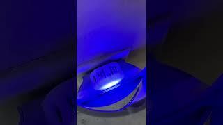 IT REALLY WORKS! Light Attracts, Zevo Traps For Easy, No-Fuss Bug Control Zevo Review