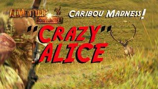 Crazy Alice - Caribou Madness!