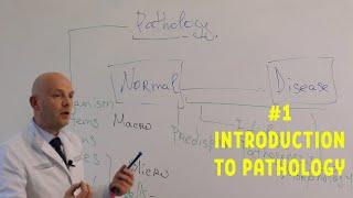 Introduction to Pathology