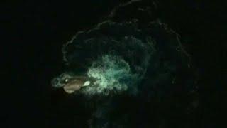 10 Mysterious Deep Sea Creatures Spotted On Google Earth