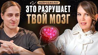 НЕЙРОБИОЛОГ: Что разрушает мозг? Почему мы тупеем? Владимир Алипов