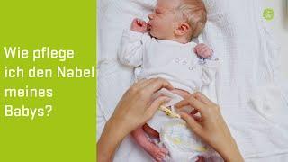 Tipps zur Nabelpflege  Babys erste Tage: Eltern-Guide der Privatklinik Goldenes Kreuz
