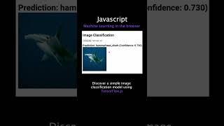 Image Classification with TensorFlow.js (JavaScript)