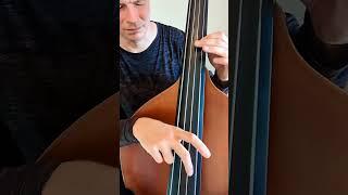 Double Bass Blue Grass Solo Piece "Those Little Shoes"