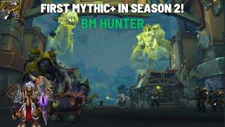 First BM Hunter Mythic+ In Season 2 War Within! #WorldofWarcraft #WarWithin