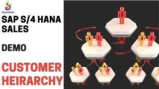 SAP S/4 HANA Sales - Demo : Customer Hierarchy