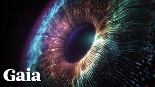 Is the Universe CONNECTED at ALL Levels?