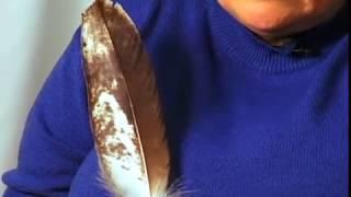 Child Development - Eagle Feather Teaching Part 1