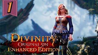 Корабль в форт Радость. Краткое прохождение Divinity Original Sin 2 . Часть 1