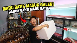 AKHIRNYA! CHANNA MARU BATIK VIRAL MASUK GALERI BOS BOS QU..??