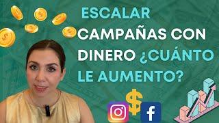 Como optimizar campañas de facebook ads 